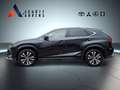 Lexus NX 300h Style Edition FWD SHZ LED Keyless Freisprech PDC B Schwarz - thumbnail 2
