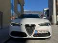 Alfa Romeo Stelvio Stelvio Super 2,0 ATX AWD Super Weiß - thumbnail 8