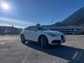Alfa Romeo Stelvio Stelvio Super 2,0 ATX AWD Super Weiß - thumbnail 5