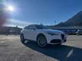 Alfa Romeo Stelvio Stelvio Super 2,0 ATX AWD Super Weiß - thumbnail 6
