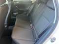 Volkswagen Polo 1.0 5porte  Comfortline Euro6 Blanco - thumbnail 11