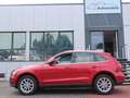 Audi Q5 2.0 TDI Autom. quattro Sitzheizung Klimaaut. Rot - thumbnail 10