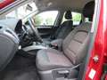 Audi Q5 2.0 TDI Autom. quattro Sitzheizung Klimaaut. Rot - thumbnail 14