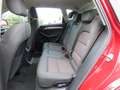 Audi Q5 2.0 TDI Autom. quattro Sitzheizung Klimaaut. Rot - thumbnail 24