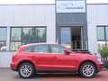 Audi Q5 2.0 TDI Autom. quattro Sitzheizung Klimaaut. Rot - thumbnail 9