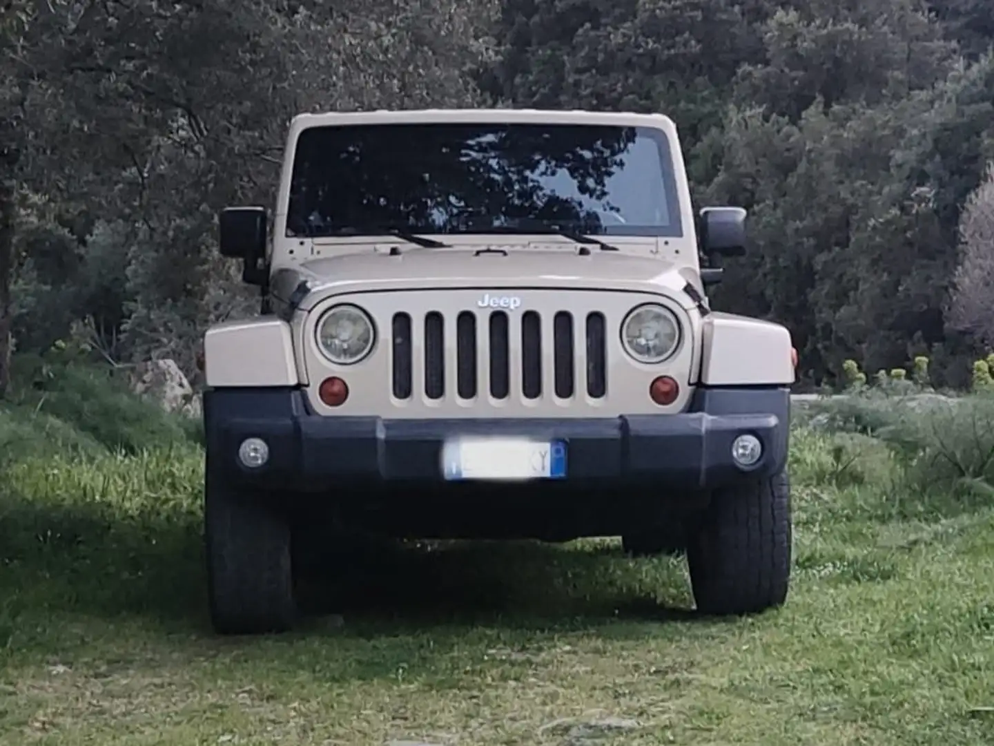 Jeep Wrangler Wrangler III 2011 2.8 crd Sahara auto Beige - 1