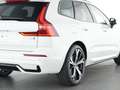 Volvo XC60 B5 Ultra Dark AWD Weiß - thumbnail 11