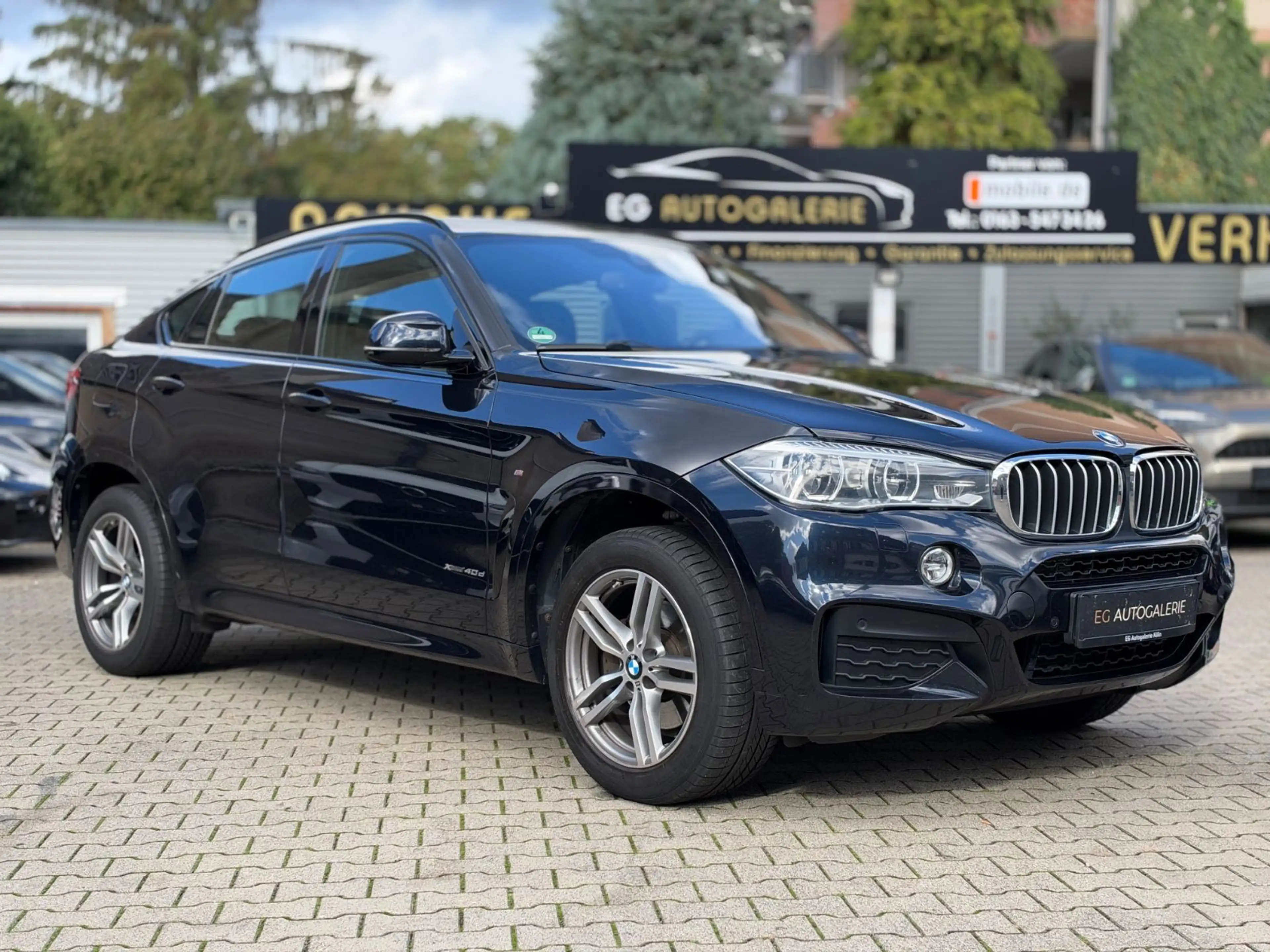 BMW X6 xDrive 40 d M-Paket*LED*Schiebed.*Memory*Head — photo 8