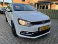 Volkswagen Polo 1.4 TDI Comfortline Nieuwe distributie riem Wit - thumbnail 20