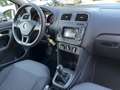 Volkswagen Polo 1.4 TDI Comfortline Nieuwe distributie riem Wit - thumbnail 12