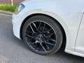 Volkswagen Golf Golf 5p 1.6 tdi Comfortline OK NEOPATENTATI Blanc - thumbnail 7