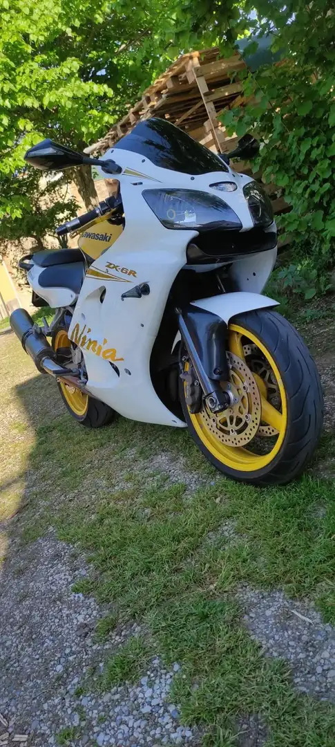Kawasaki Ninja ZX-6R Bianco - 1