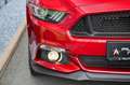 Ford Mustang Coupe 5.0 V8 Aut. GT erst 16.002 km !!* Rot - thumbnail 17