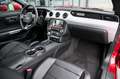 Ford Mustang Coupe 5.0 V8 Aut. GT erst 16.002 km !!* Rouge - thumbnail 11