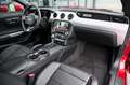 Ford Mustang Coupe 5.0 V8 Aut. GT erst 16.002 km !!* Rot - thumbnail 10