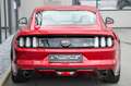 Ford Mustang Coupe 5.0 V8 Aut. GT erst 16.002 km !!* Rot - thumbnail 20