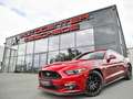 Ford Mustang Coupe 5.0 V8 Aut. GT erst 16.002 km !!* Rot - thumbnail 1