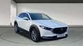 Mazda CX-30 2.0 Skyactiv-G Evolution 2WD 90kW Blanco - thumbnail 3
