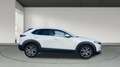 Mazda CX-30 2.0 Skyactiv-G Evolution 2WD 90kW Blanco - thumbnail 6