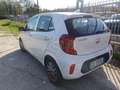Kia Picanto Picanto 1.0 dpi Style Comfort Pack Bianco - thumbnail 2