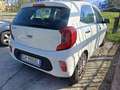 Kia Picanto Picanto 1.0 dpi Style Comfort Pack Bianco - thumbnail 4