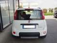 Fiat Panda 1.0 Hybrid City Life Batteria Nuova Tagliandata Bianco - thumbnail 5
