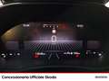 Skoda Fabia 1.0 mpi evo selection 80cv Weiß - thumbnail 11