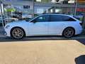 Audi A6 50 TFSI e quattro Sport Weiß - thumbnail 5