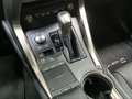 Lexus NX 300h 2.5 Premium 2WD Gris - thumbnail 13