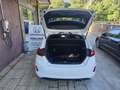 Ford Fiesta Fiesta 1.0 Ecoboost 100 CV aut. 3 porte ST-Line Blanc - thumbnail 7