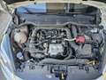 Ford Fiesta Fiesta 1.0 Ecoboost 100 CV aut. 3 porte ST-Line Blanc - thumbnail 18