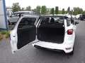 Ford EcoSport EcoBoost ST-Line Wit - thumbnail 13