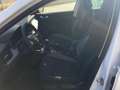 Skoda Kamiq 1.0 TSI Black Dots Bianco - thumbnail 6