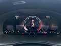 Skoda Kamiq 1.0 TSI Black Dots Bianco - thumbnail 11
