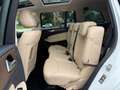 Mercedes-Benz GLS 400 4Matic AMG AUT~7Sitz~Pano~Head~360Kam~ Білий - thumbnail 11