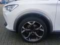 CUPRA Formentor TSI DSG 4Drive LED Navi AID beats ACC RFK SH 19" Weiß - thumbnail 10