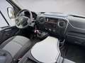 Renault Master III Mixto L3H2 3,5t Oberaigner 4x4 , AHK Blanc - thumbnail 17