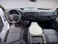 Renault Master III Mixto L3H2 3,5t Oberaigner 4x4 , AHK Blanc - thumbnail 15
