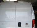 Fiat Ducato L3H2 2 Sitzer als Wohnmobil Umbau Blanc - thumbnail 7