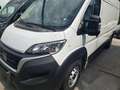 Fiat Ducato L3H2 2 Sitzer als Wohnmobil Umbau Blanc - thumbnail 2