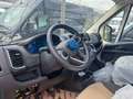 Fiat Ducato L3H2 2 Sitzer als Wohnmobil Umbau Blanc - thumbnail 4