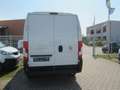 Fiat Ducato L3H2 2 Sitzer als Wohnmobil Umbau Blanc - thumbnail 10