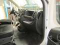 Fiat Ducato L3H2 2 Sitzer als Wohnmobil Umbau Blanc - thumbnail 8