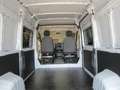 Fiat Ducato L3H2 2 Sitzer als Wohnmobil Umbau Blanc - thumbnail 1