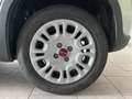 Fiat Panda Panda 2021 1.0 hybrid SENZA OBBLIGO FINANZIAMENTO Wit - thumbnail 9