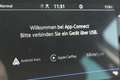 Volkswagen Passat Alltrack 2.0 TDI DSG 4M Silber - thumbnail 15
