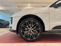 Porsche Macan 2.0 245cv pdk GOMME E CERCHI NUOVI*SED. FULL PELLE Blanco - thumbnail 4