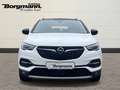 Opel Grandland X Business Innovation 1.5 DIESEL LED - Lenkradheizun Weiß - thumbnail 2