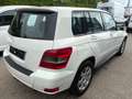 Mercedes-Benz GLK 220 GLK 220 CDI 4MATIC BlueEfficiency Aut. Weiß - thumbnail 6