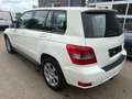 Mercedes-Benz GLK 220 GLK 220 CDI 4MATIC BlueEfficiency Aut. Weiß - thumbnail 4